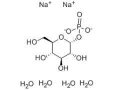 碳水化合物類(lèi)
