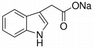植物激素及核酸類(lèi)