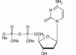 植物激素及核酸類(lèi)
